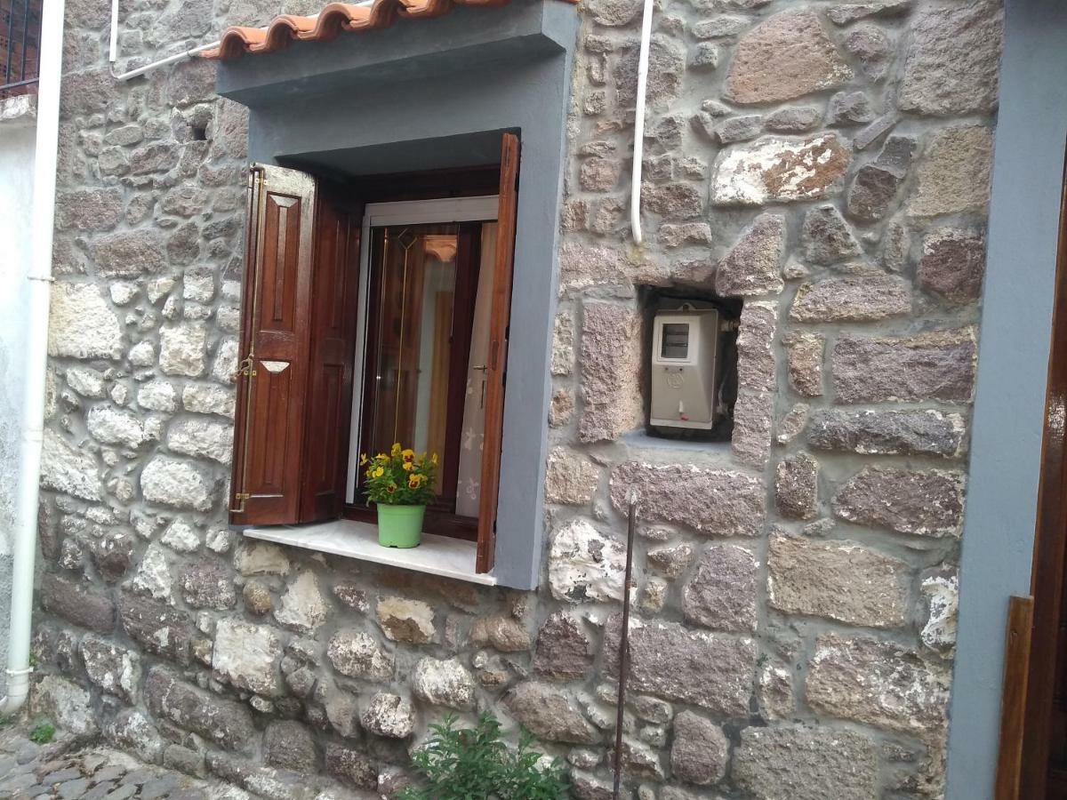 Dameli Διαμέρισμα Sykaminéa Εξωτερικό φωτογραφία