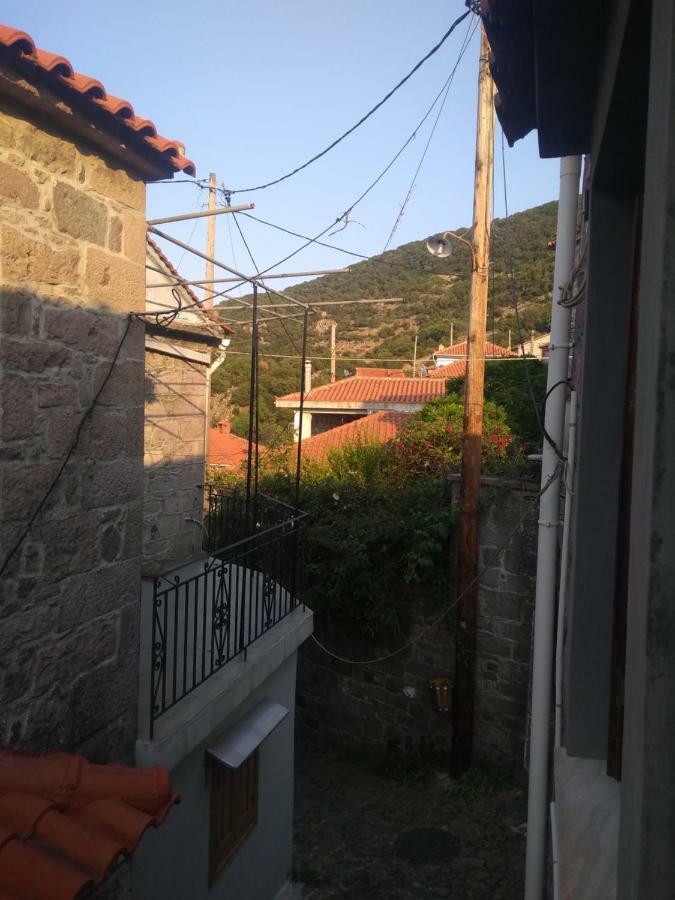 Dameli Διαμέρισμα Sykaminéa Εξωτερικό φωτογραφία
